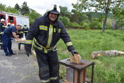 lavágott fa a sablonban