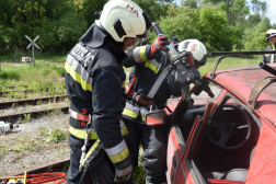 roncsvágási feladat közben