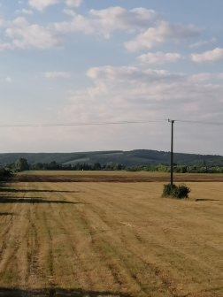 Szabadtéri tűzesetek pusztítása