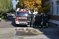 Megbeszélés a fealadt után