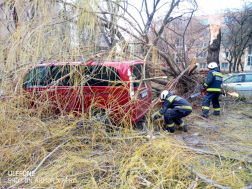 Fákat döntött ki a viharos szél