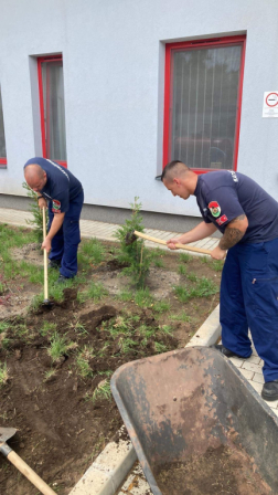 Szépül a Gyöngyösi Katasztrófavédelmi Kirendeltség és Tűzoltóság épületének környezete