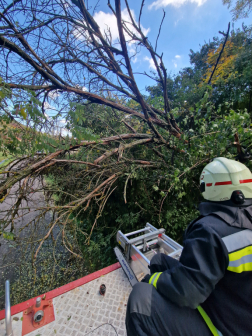 A kocsi tetején a tűzoltó