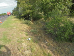 Tűzoltóautó a távolban