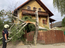 Ingatlanra dől fa