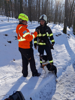 A kutya önkéntes és hivatásos tűzoltóval a képen