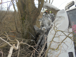 Létrát használtak a mentésnél