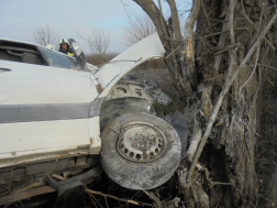 Létrát használtak a mentésnél
