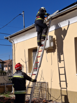 Tetőre megy láncfűrésszel a tűzoltó