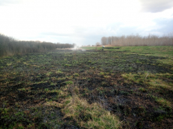 Leégett terület a határban