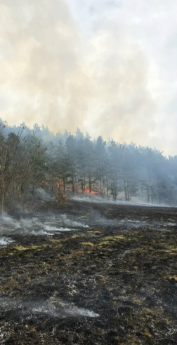 Leégett terület a határban