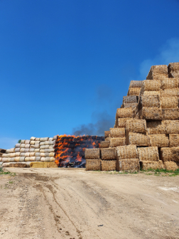 Katasztrófavédelem