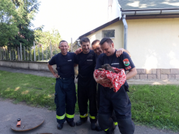 A tűzoltók karjaiban a mentett kiskutya