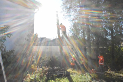 fagallyazás a magasban