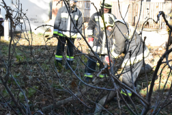 fa darabolása láncfűrésszel