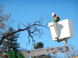 áramszolgáltató szakembere emelőkosárban