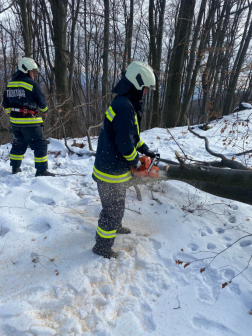 az út tisztitása a faágaktól motoros láncfűrésszel