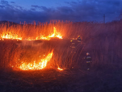 15 Hektáron égett száraz növényzet Verpelét határában