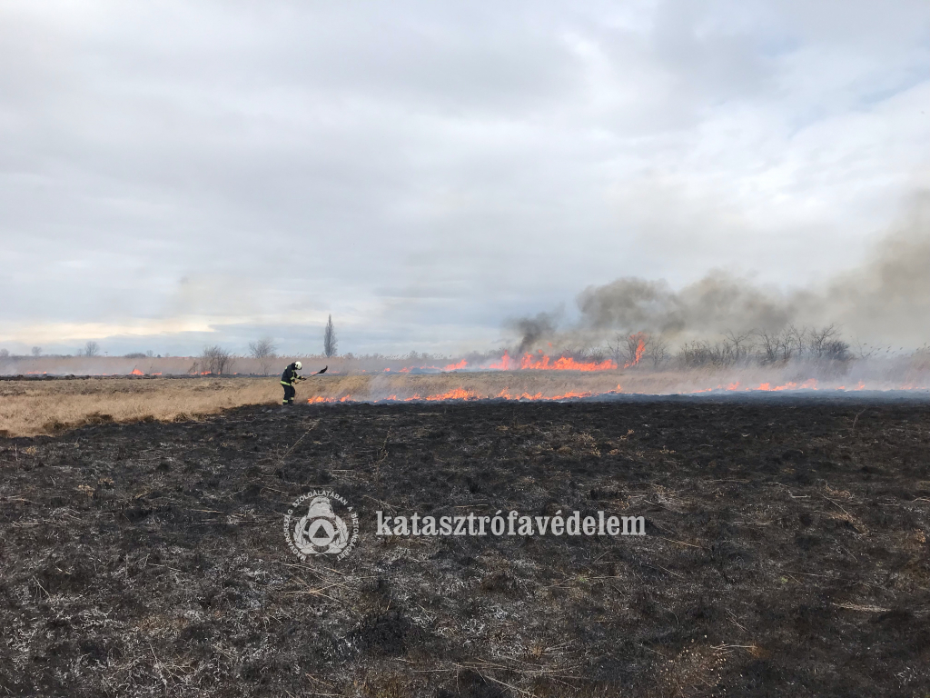 Száraz növényzetet olt szikracsapóval a tűzoltó