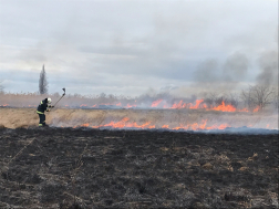 Száraz növényzetet olt szikracsapóval a tűzoltó