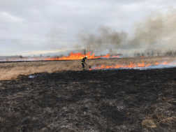 Száraz növényzetet olt szikracsapóval a tűzoltó