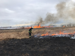 Száraz növényzetet olt szikracsapóval a tűzoltó