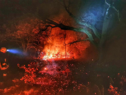 150 hektár lángolt, oltanak a tűzoltók