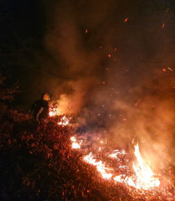 150 hektár lángolt, oltanak a tűzoltók