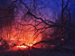 150 hektár lángolt, oltanak a tűzoltók
