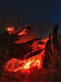 150 hektár lángolt, oltanak a tűzoltók