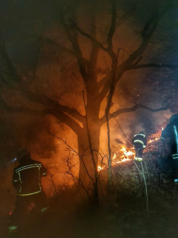 150 hektár lángolt, oltanak a tűzoltók