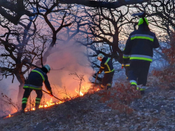 150 hektár lángolt, oltanak a tűzoltók