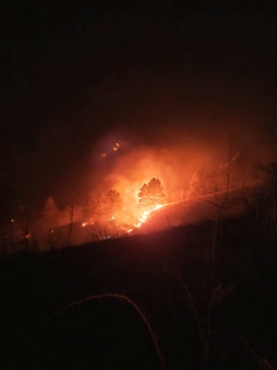 150 hektár lángolt, oltanak a tűzoltók