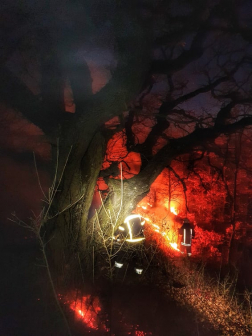 150 hektár lángolt, oltanak a tűzoltók