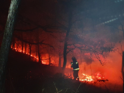 Szabadtéri tűzeset Mikófalva határában , oltás