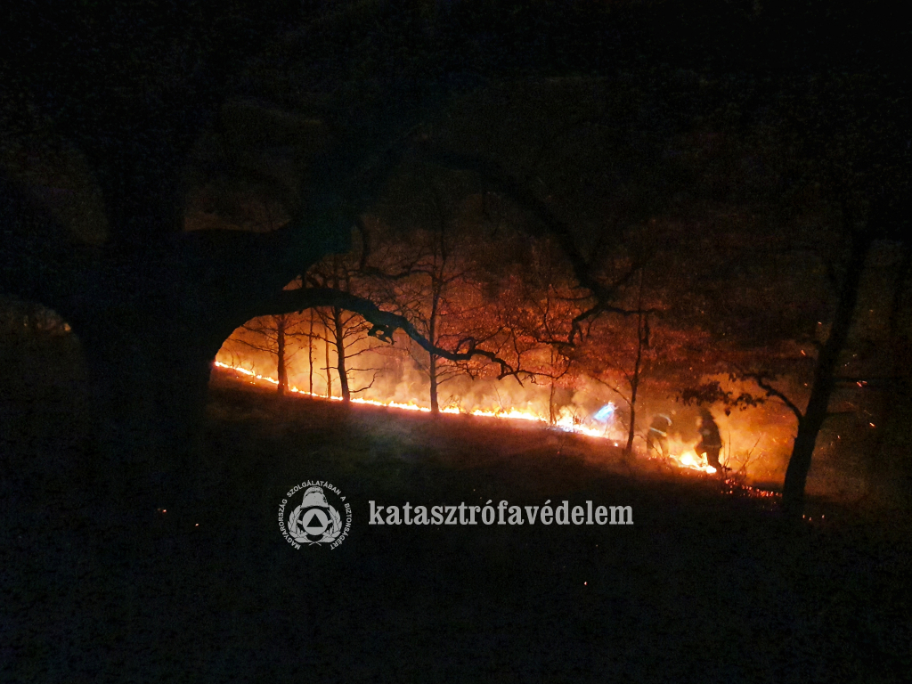 Szabadtéri tűzeset Mikófalva határában , oltás