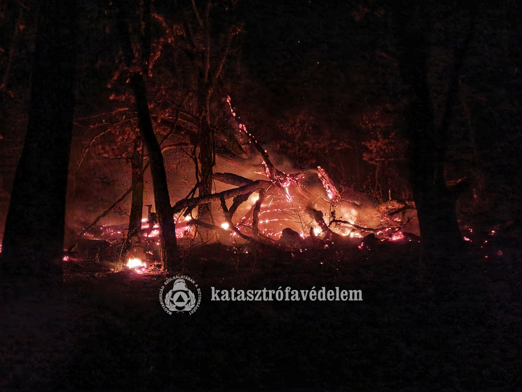Égő fa külterületen