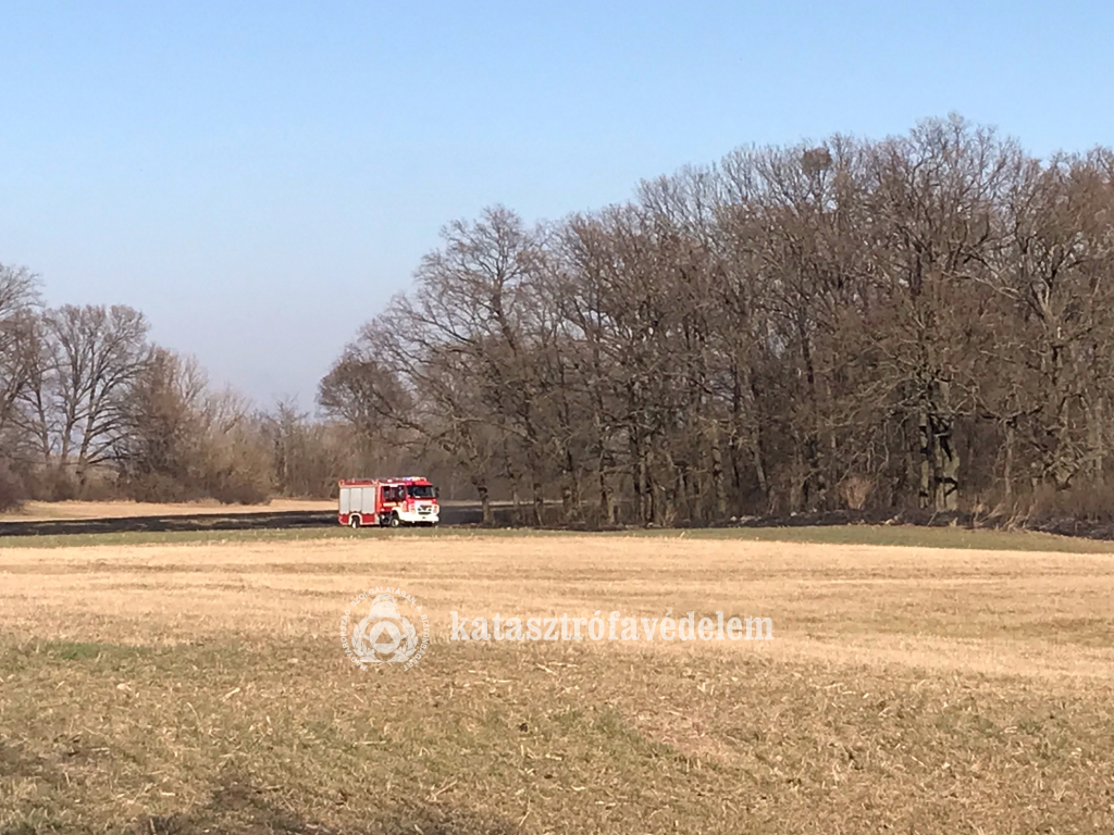 Erdő aljnövényzete égett Zsámbok határában