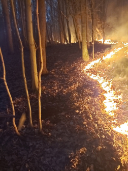 Avartűz oltása Balaton határában