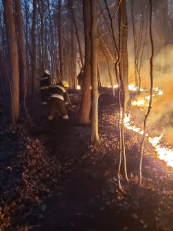 Avartűz oltása Balaton határában