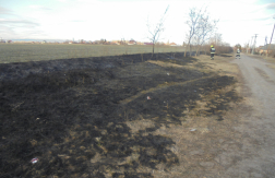 vegetációs tűzesetnél oltanak a füzesabonyi tűzoltók