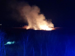 vegetációs tűzesetnél oltanak a füzesabonyi tűzoltók