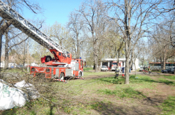 veszélyes gallyakat távolítanak el a tűzoltók